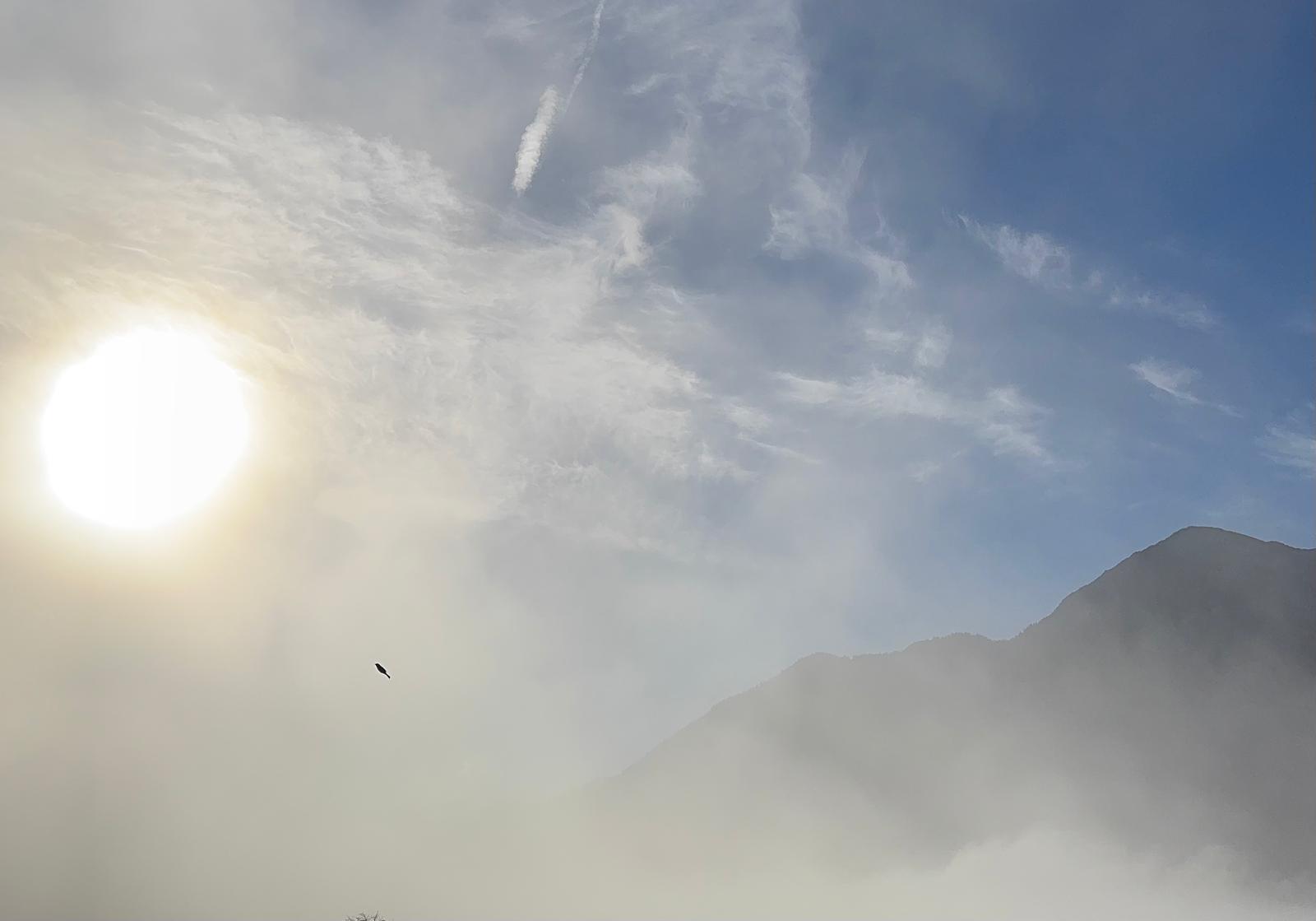 b7aa0cac-7a2b-446f-a549-55afc9ef39fe